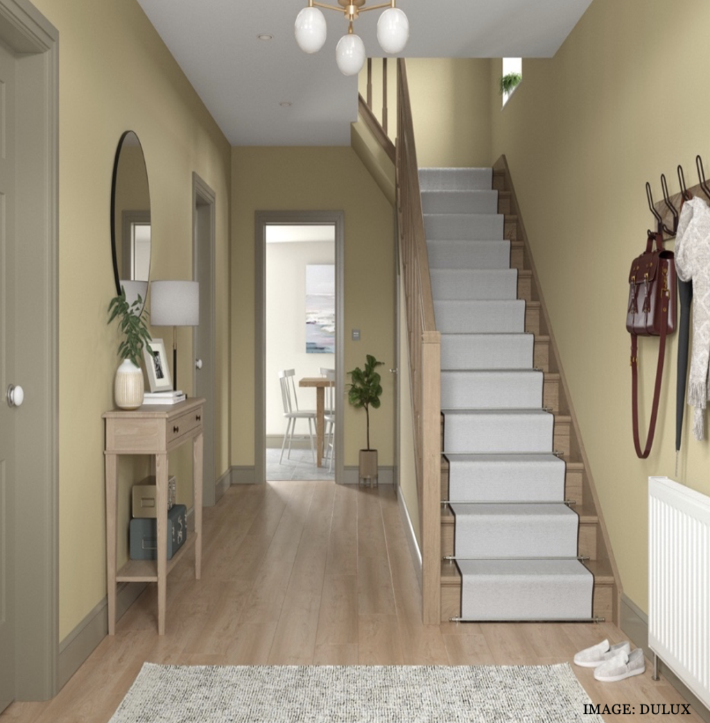 Colours Trend of 2023: Dulux: Wild Wonder